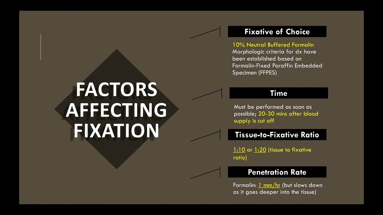 HP LEC 9 - FIXATION W/ SIR NIEL - LIKE AND SUBSCRIBE 💛