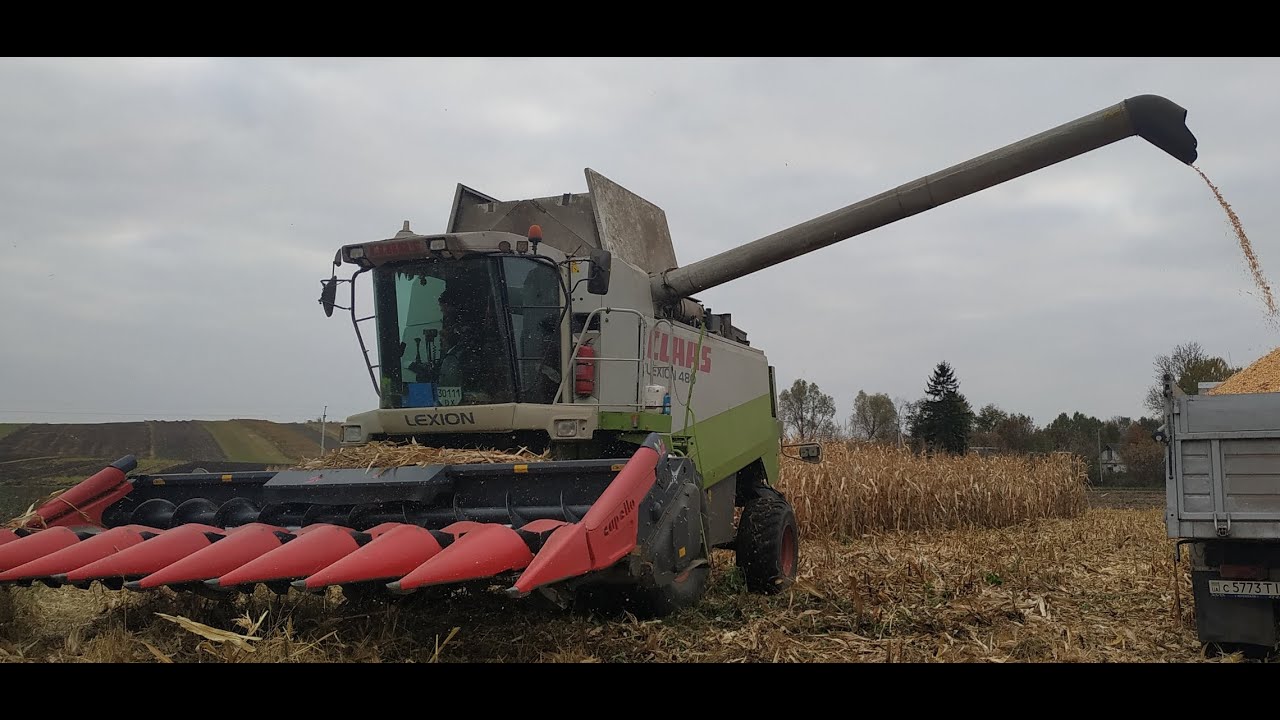 Кукуруза на зерно🌽2021 |•Claas Lexion 480•| Kamaz🔥