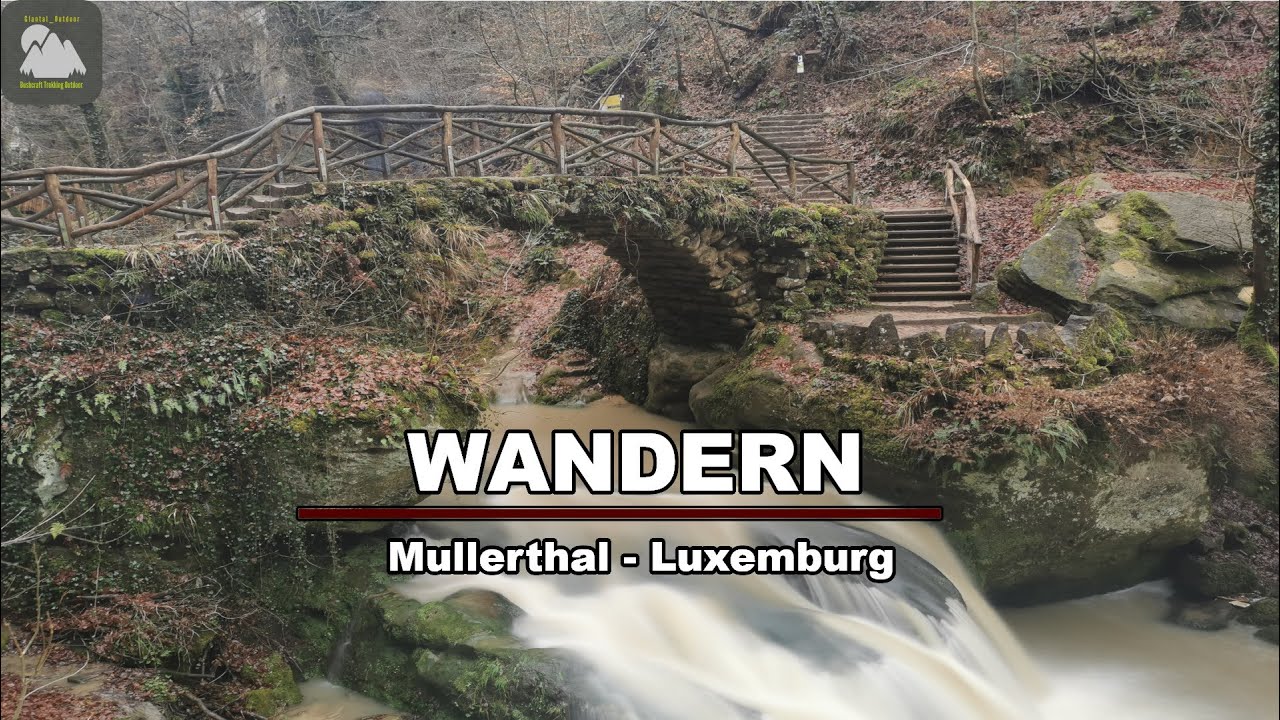 Wandern mit Hund || Mullerthal Luxemburg