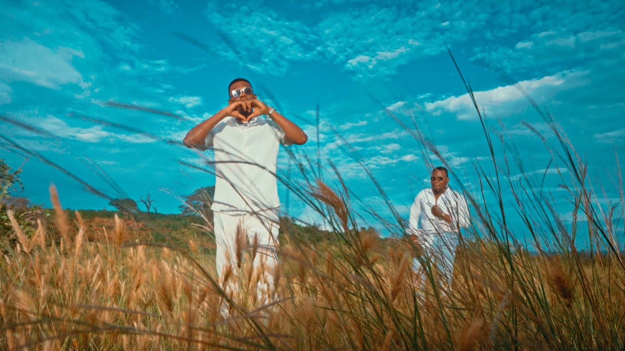 Mendys - Foi Voc&ecirc; Feat Jo&eacute;lson Flores ( Oficial Visualiser by BillVision )