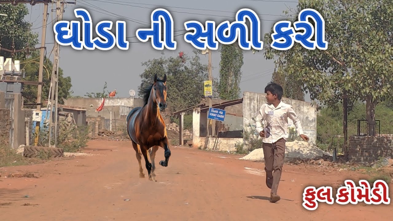 ઘોડા ની સળી કરી | ranjan comedy | gujrati comedy | rc comedy