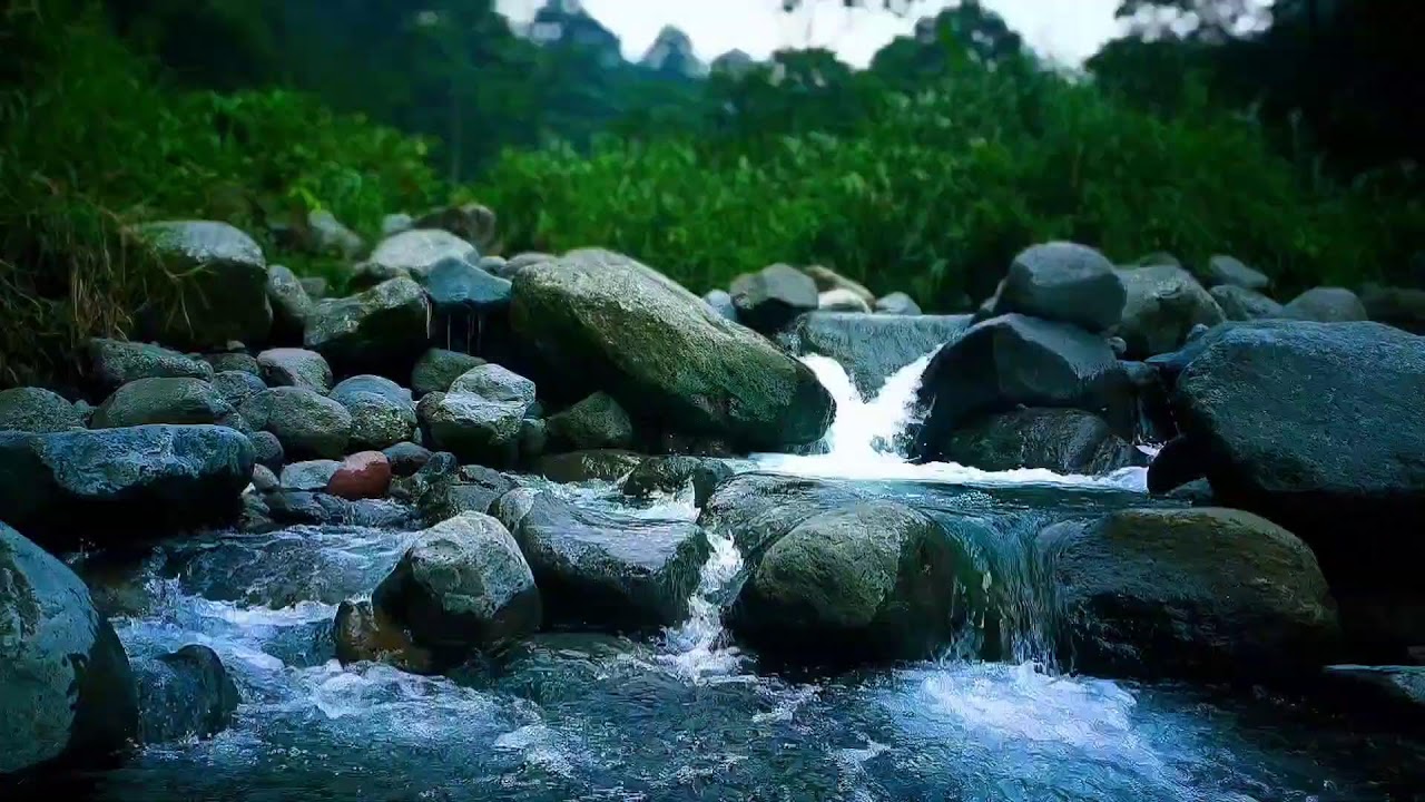 🍃 Soft Dawn River ASMR Sounds for Deep Sleep, Relaxation & Gentle Awakening
