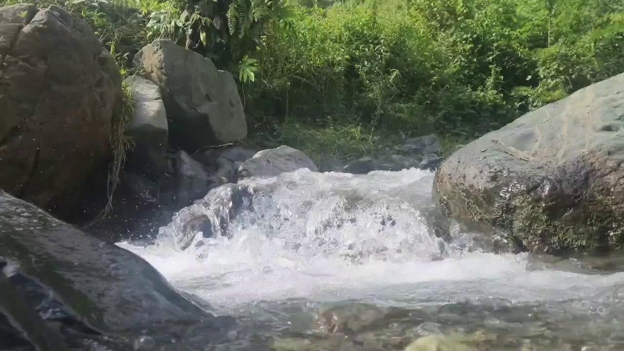 ​🔴 LIVE: Relaxing River Sounds for Studying & Deep Focus