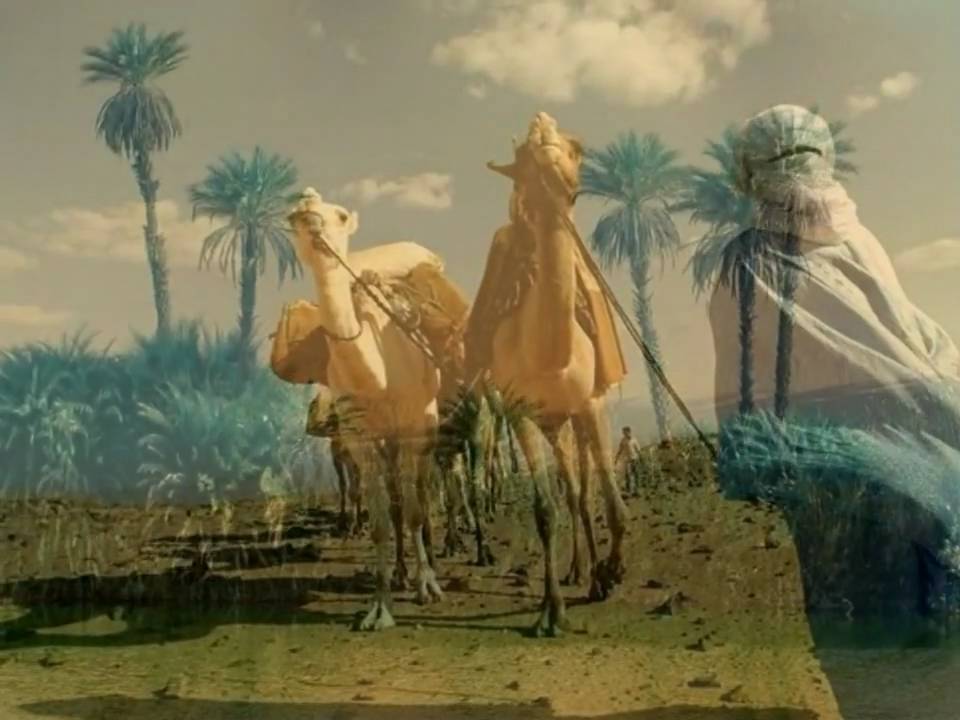 Desert Oasis by Mehdi