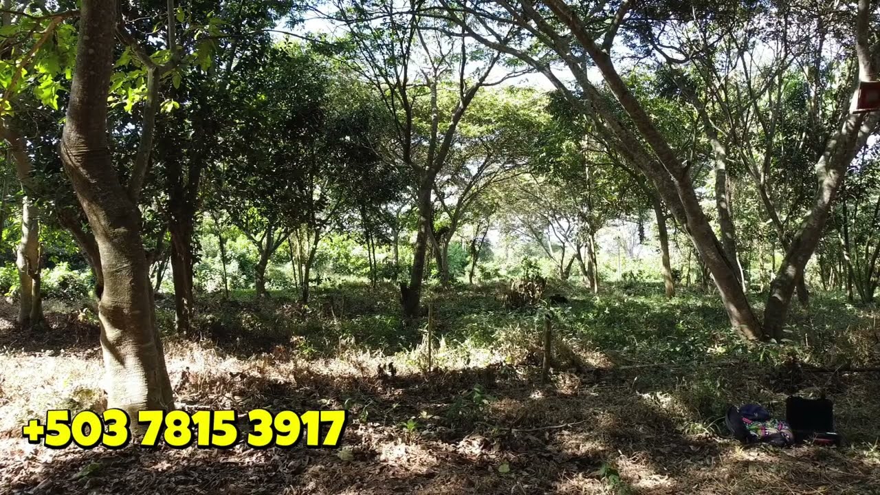 Venta de Terreno en Santa Ana mide 60x40 metros | El Salvador en el Campo 