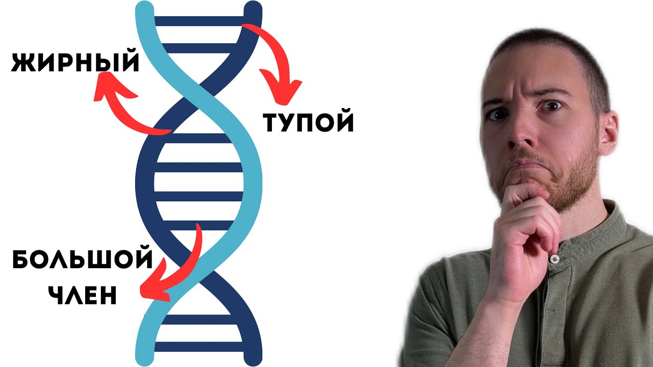 ЧТО КОНТРОЛИРУЮТ ГЕНЫ?