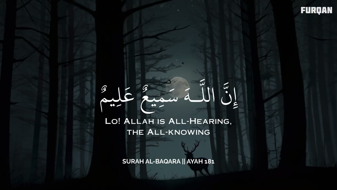 رح سمعك وقلبك بالقرآن❤️🎧 وأستمع لتلاوة هادئه بصوت محمد هشام | راحة نفسية😌 | Mohamed Hesham