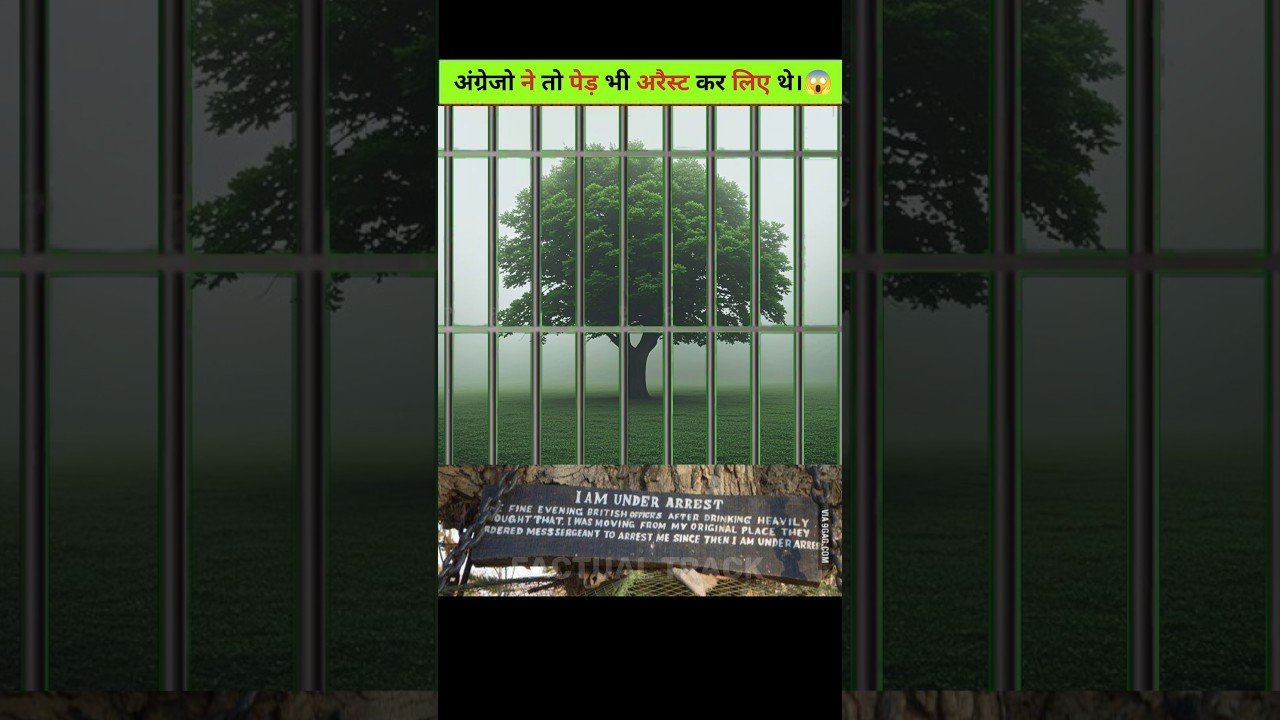 Day - 9 | 📜 True Story of Pakistan&rsquo;s Arrested Tree | Colonial Era Mystery Explained.