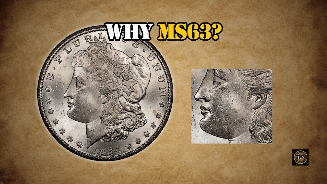 Carson City Morgan Dollars: What 9 Grading Results Revealed