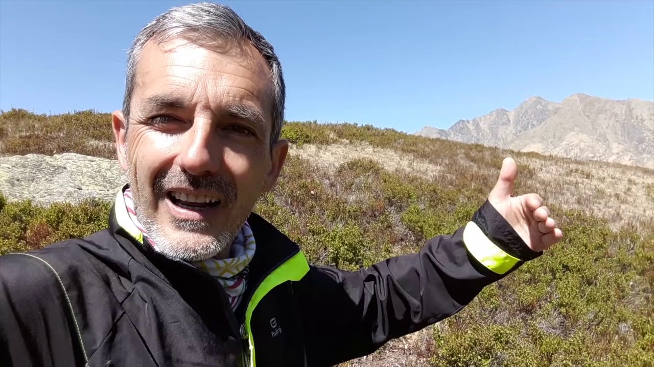 Mirtillo spontaneo o selvatico di montagna