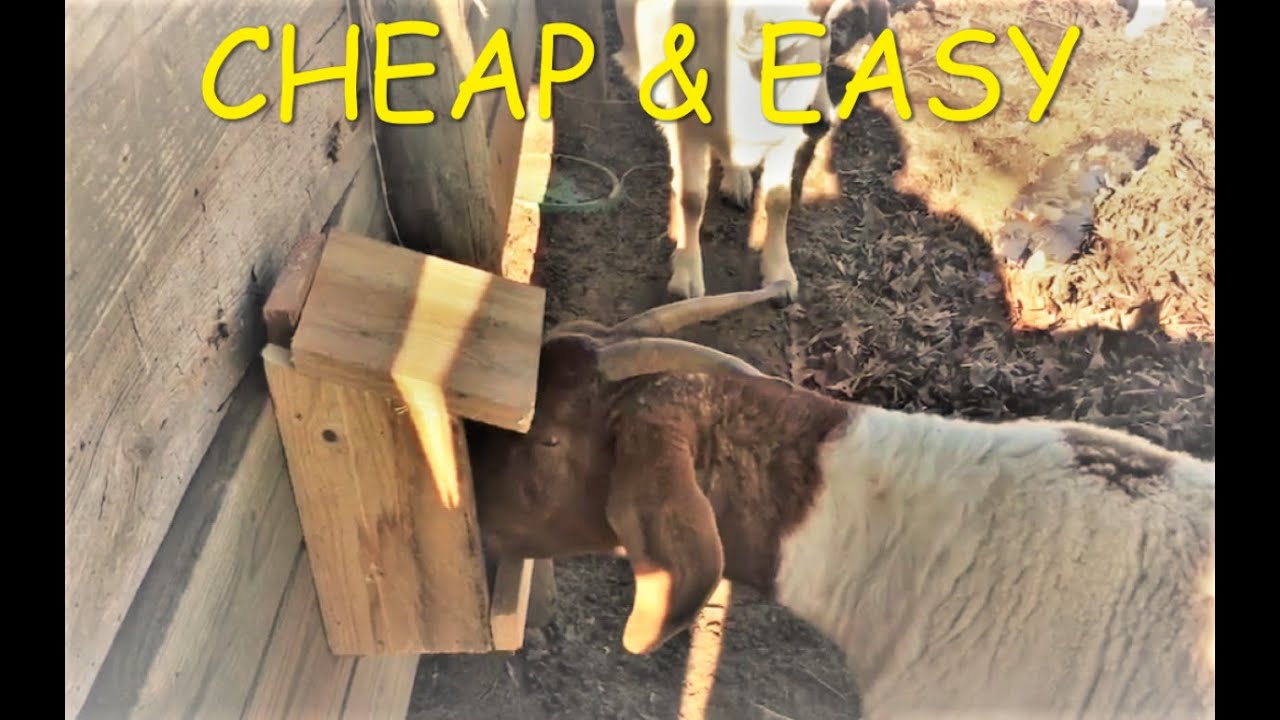 How To Make A Home Made Goat Mineral Feeder