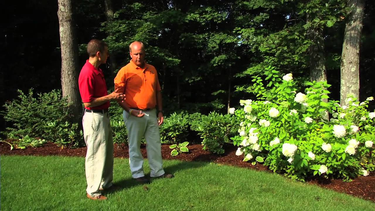 How to keep deer out of your yard in every season