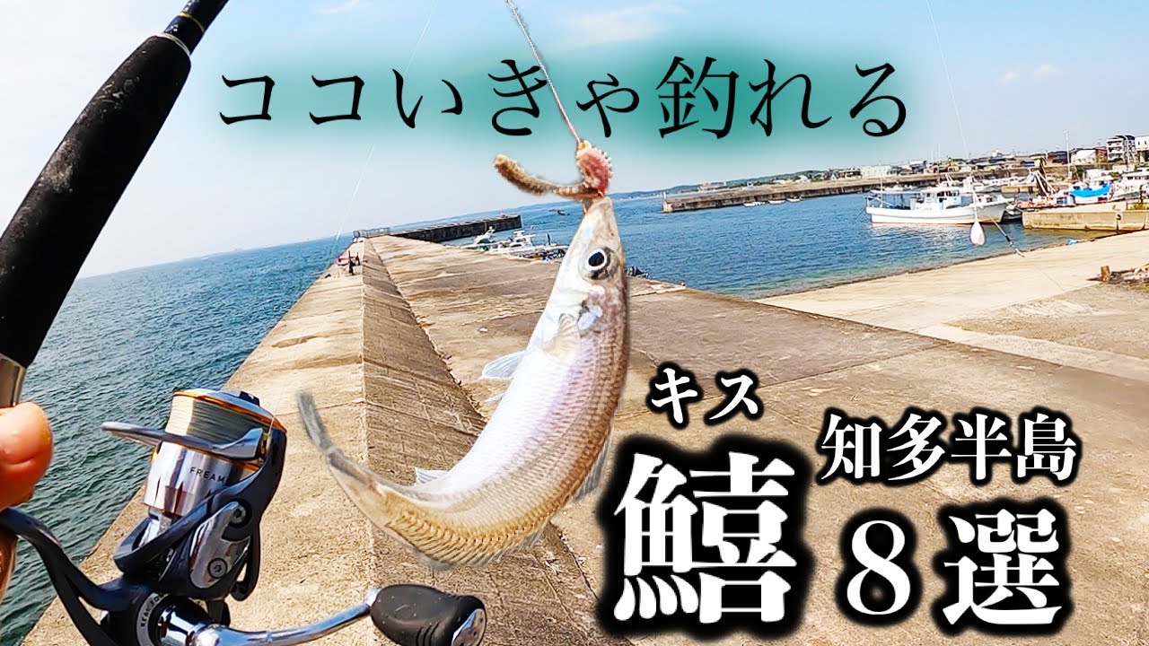 ※夏といえばキス釣り♪絶品食材が簡単に手に入るポイント8選【知多半島】