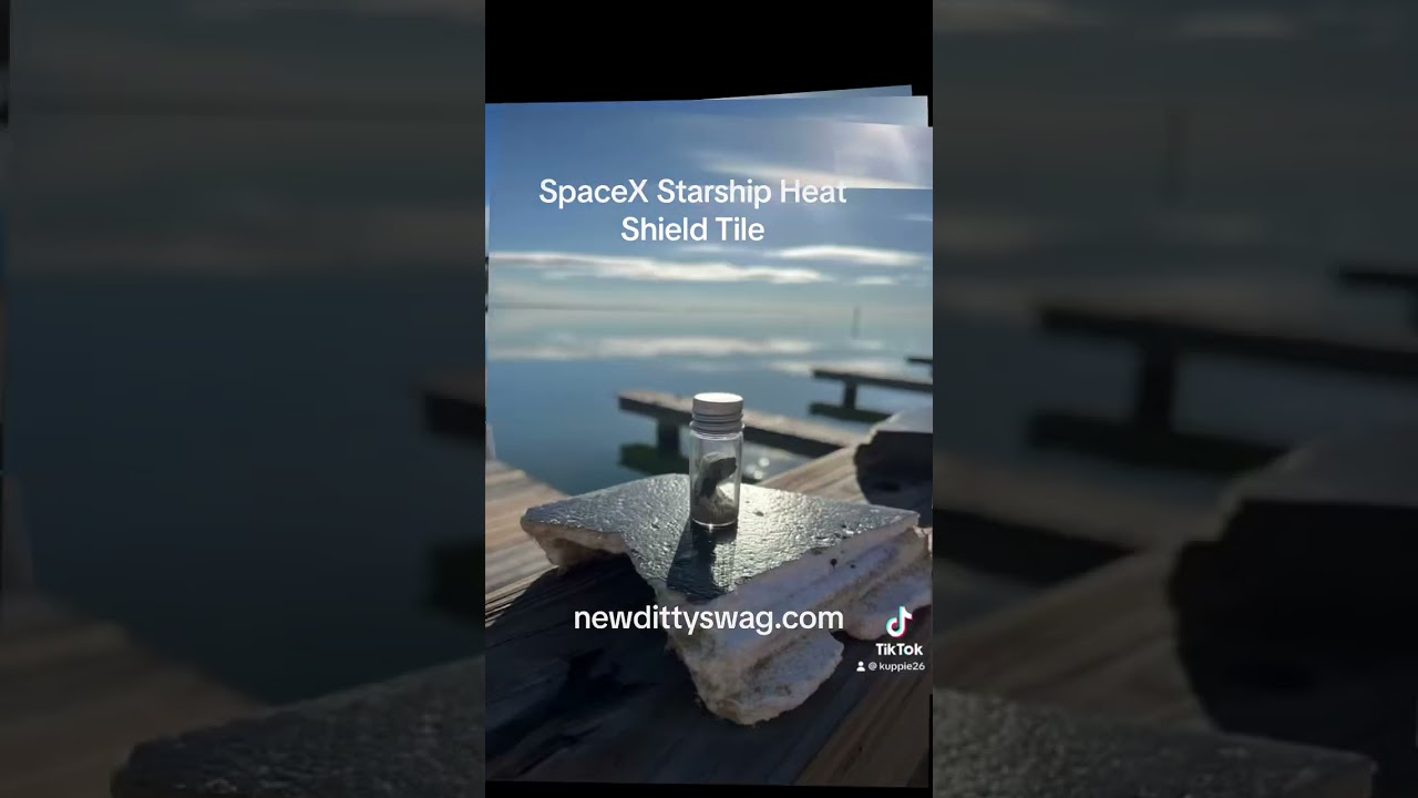 SpaceX Starship Heat Shield Tile - newdittyswag.com