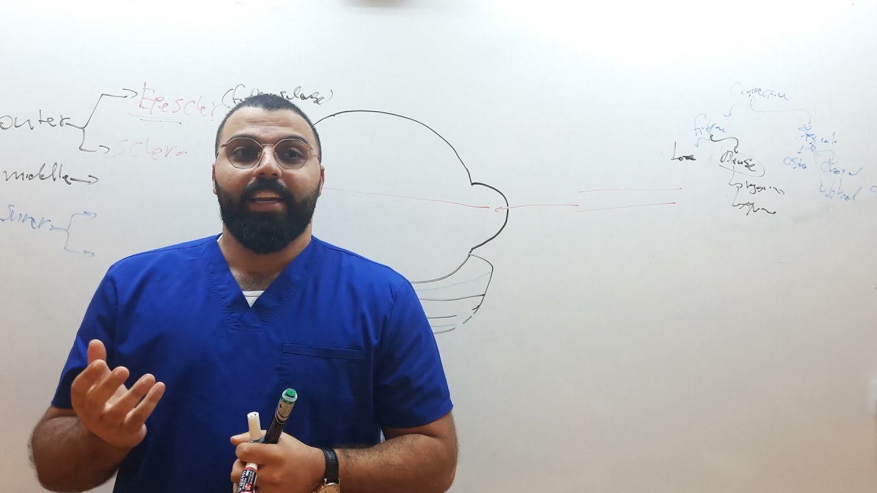 Ophthalmology | anatomy and physiology  of the eye | part 1