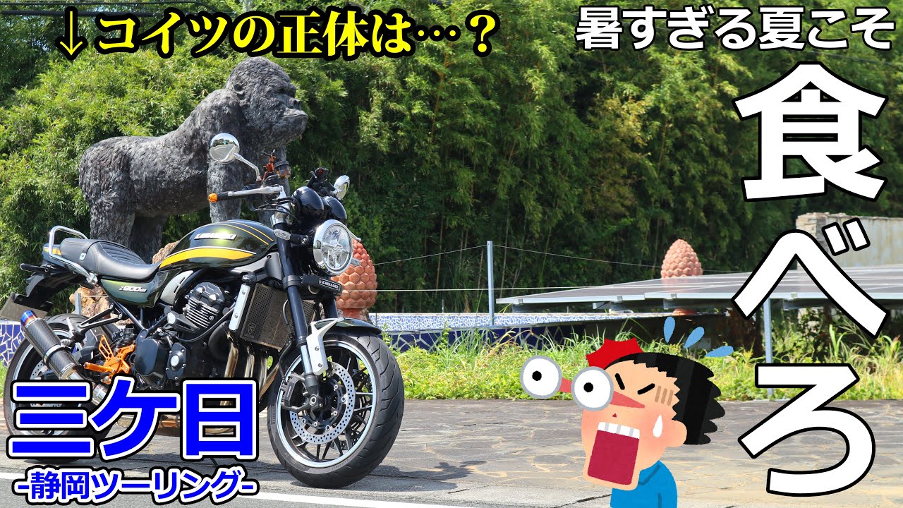 【静岡ツーリング】夏こそ絶対行くべし！極上のアイスを求めてツーリングした後にとんでもないものが…【モトブログ/Z900RS】【三ケ日】