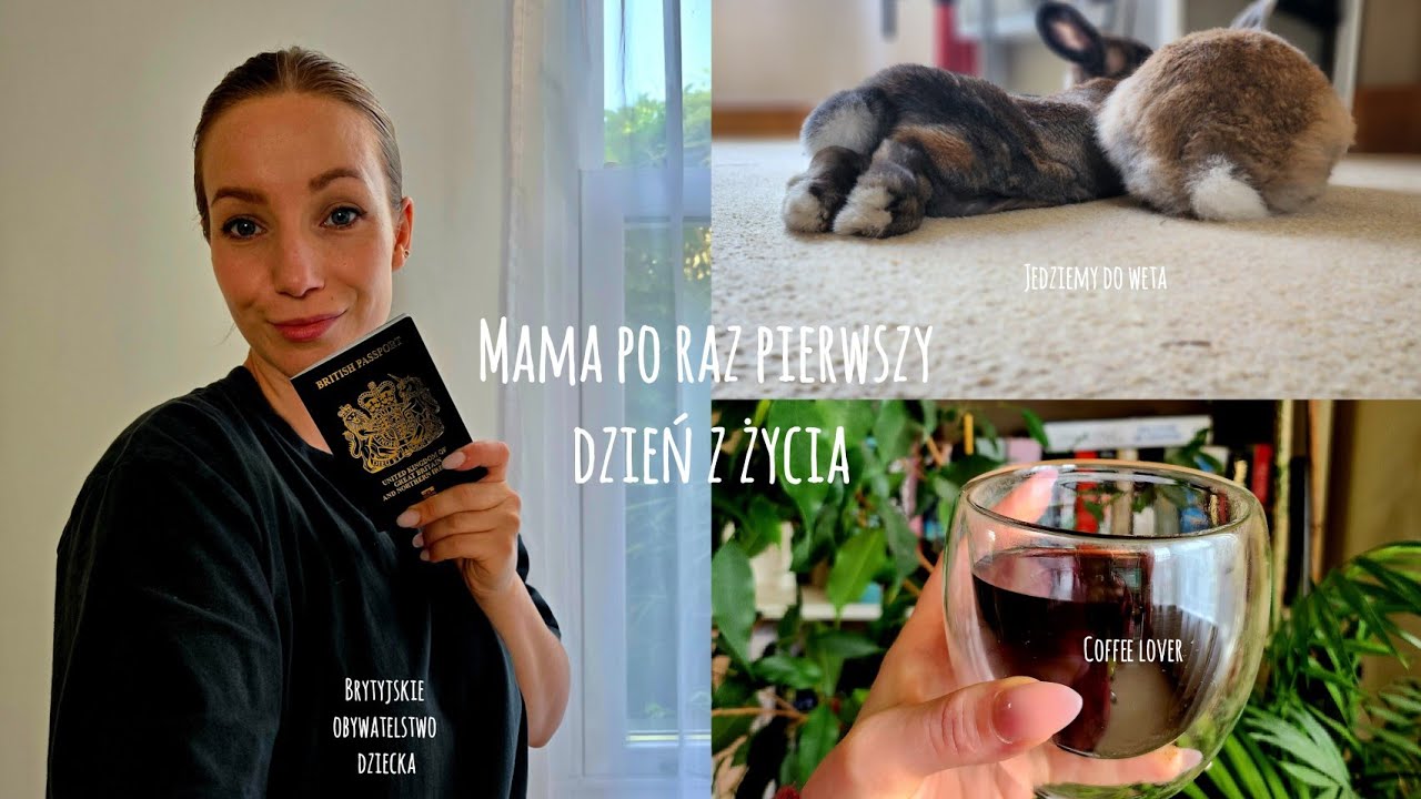 Brytyjski paszport i obywatelstwo dla dziecka | Vlog UK + wizyta u weterynarza + zakupy online