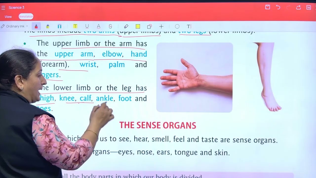 Science 3 ch 6