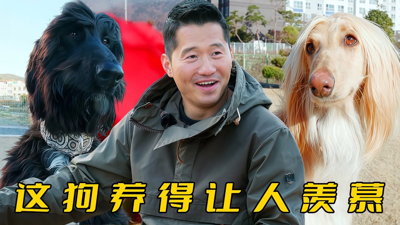 主人豪擲300萬養狗，在別墅旁蓋獵犬運動場，訓犬師看了狂呼羨慕