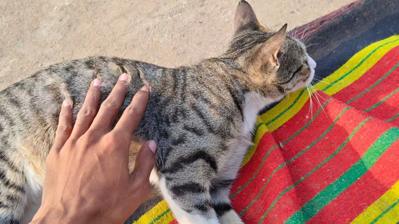 Meri Pyari Minnuuu🥰