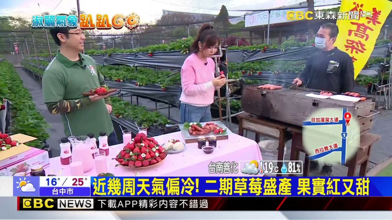 【淑麗趴趴GO】「北大湖、南善化」 台南草莓種植已超過40年！@newsebc