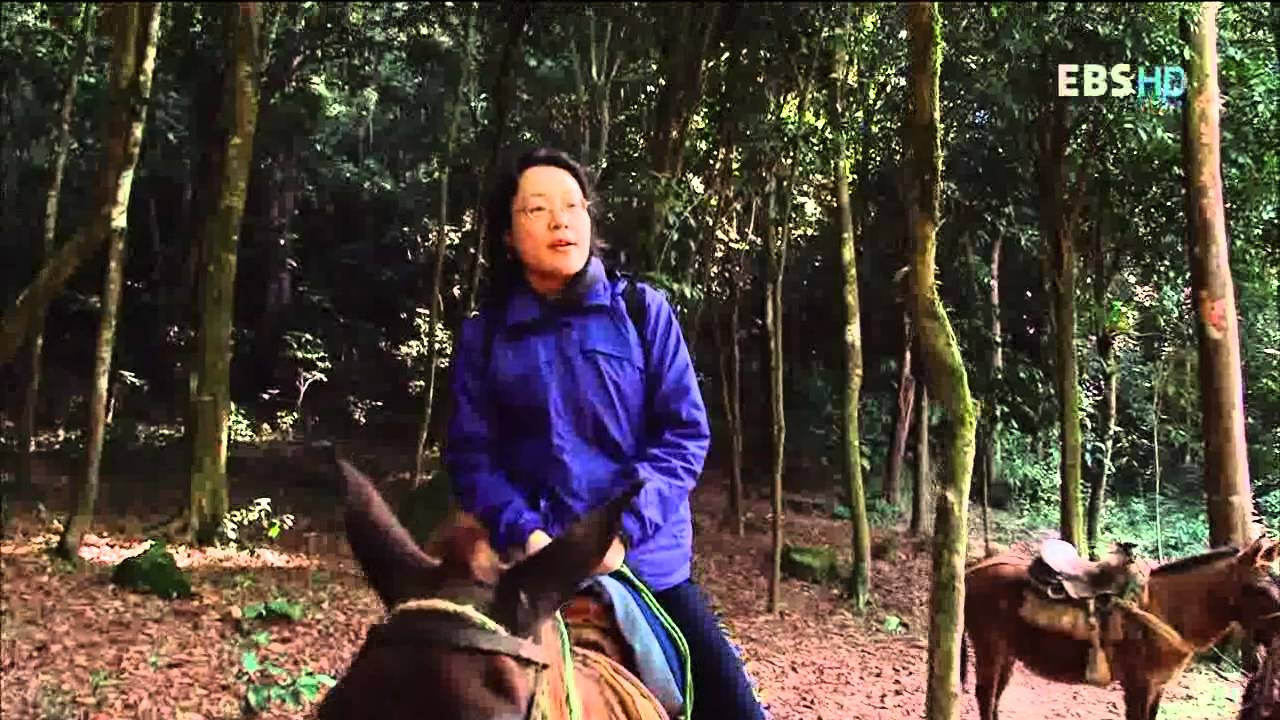 세계테마기행 - World theme travel_도미니카 공화국 2부_정복되지 않은 땅_피코두아르테_#001