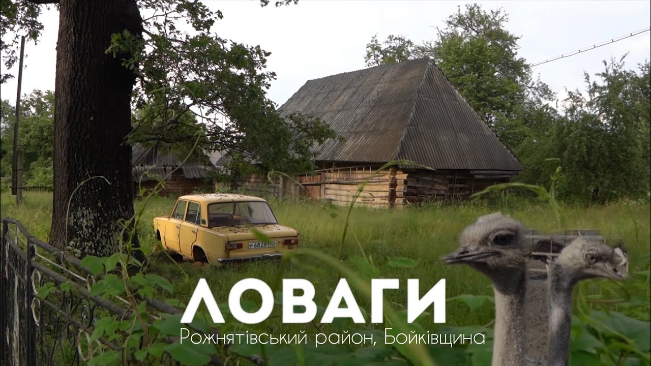 Ловаги - бойківське зникаюче село, яке відроджує страусина ферма.