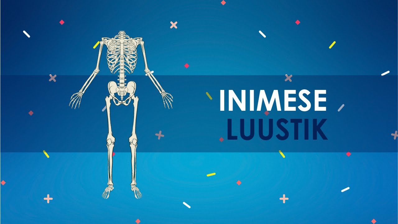 Inimese luustik
