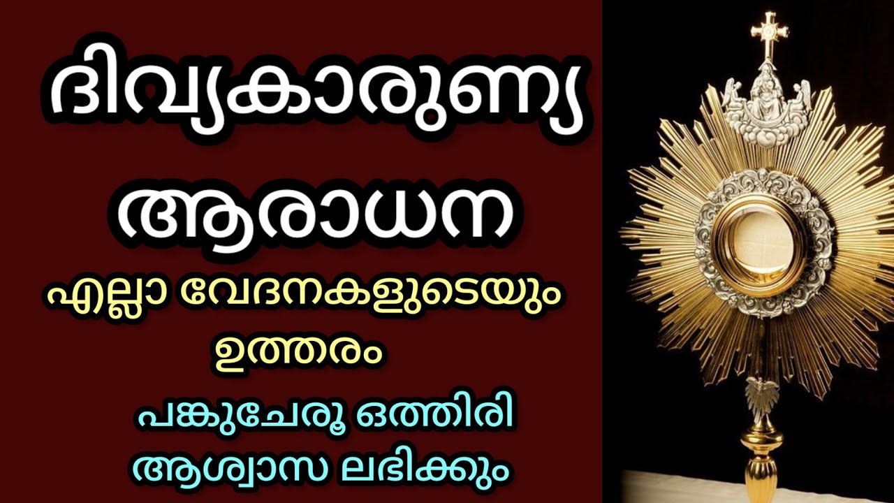 ദിവ്യകാരുണ്യ  ആരാധന 