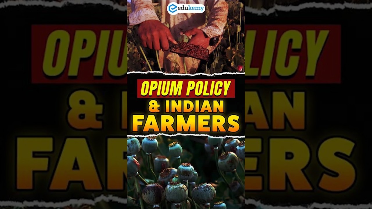 💊 Why India Alone Grows Opium Legally &mdash; 2025&ndash;26 Policy Explained