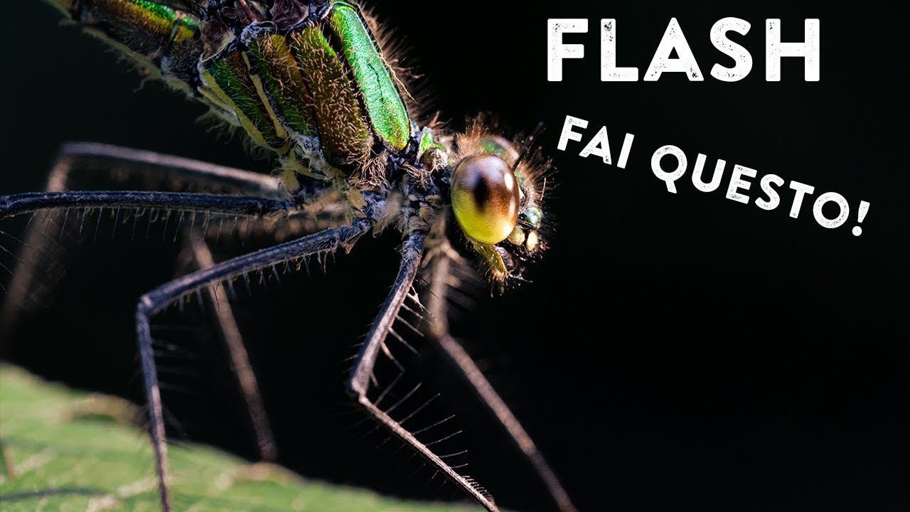 FLASH: il segreto per ottenere una buona luce!