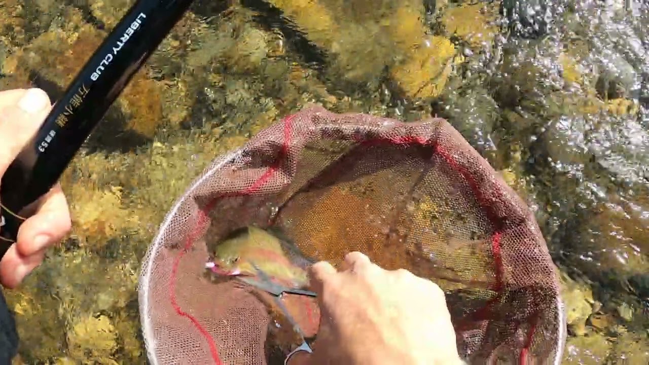 Ep. 14 Guides time off....Tenkara fishing in 10 Minutes