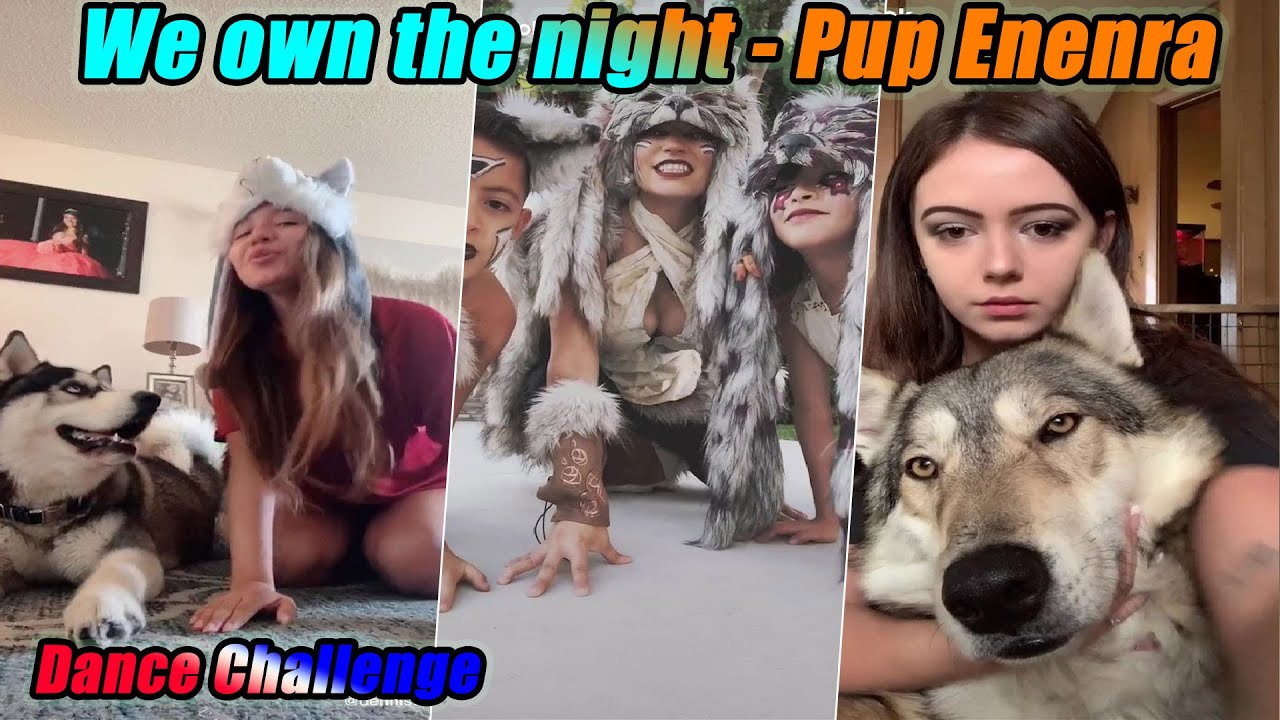 We own the night - Pup Enenra Challenge ◆ Tik Tok Compilation ◆ energetic music