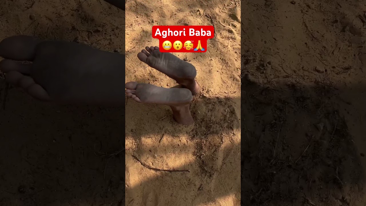 Aghori baba Samadhi #viral#trending #ytshorts #aghori #samadhi #aghoribaba #mrindianbaba