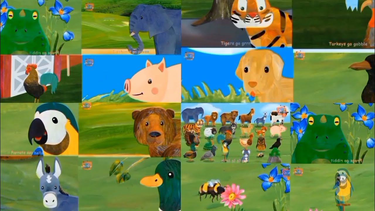 Animal Sounds Song Random Compilation ✨🎶