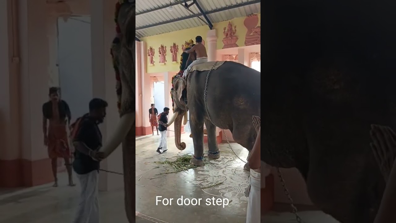 Navaratri Celebration in Vadakkancheri Lakshmi Narayana Temple Kerala