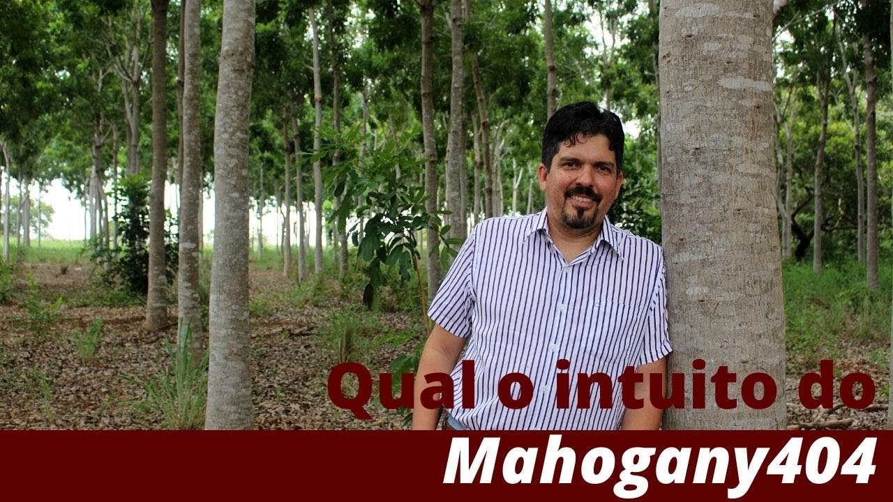 QUAL O INTUITO DO MAHOGANY 404