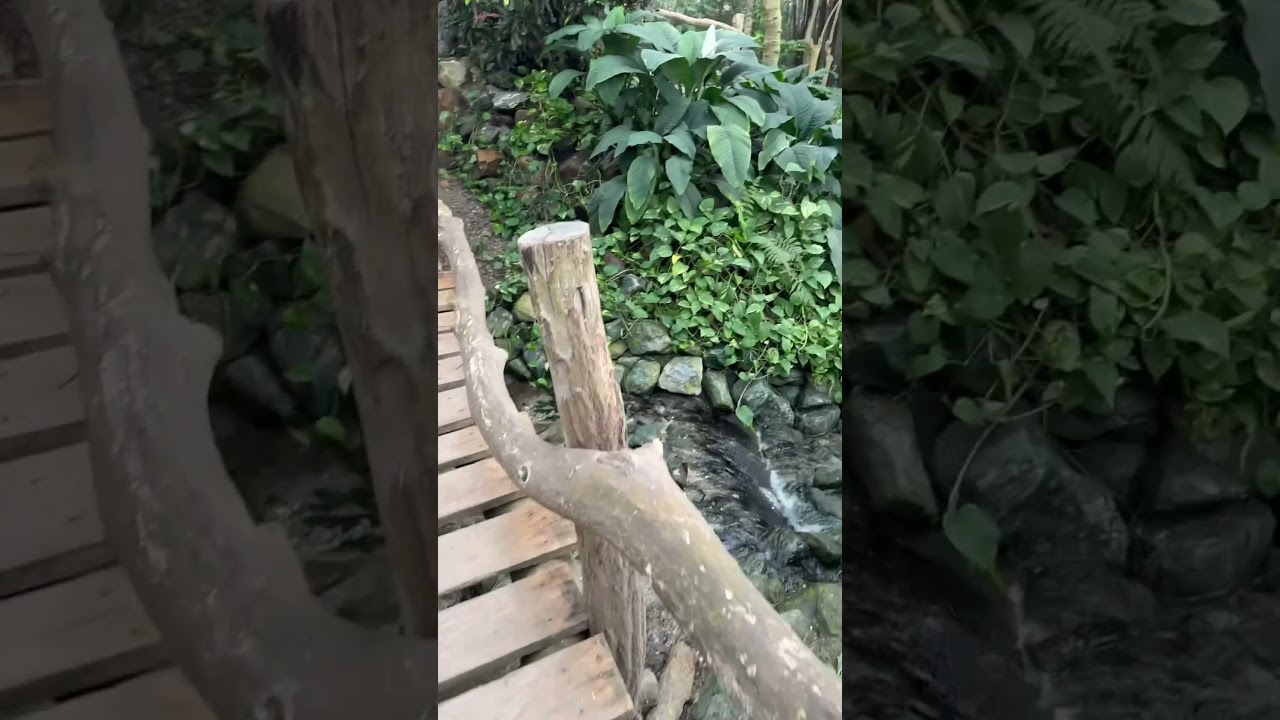 Warme ervaring op een koude winterdag in @pantropica-nl