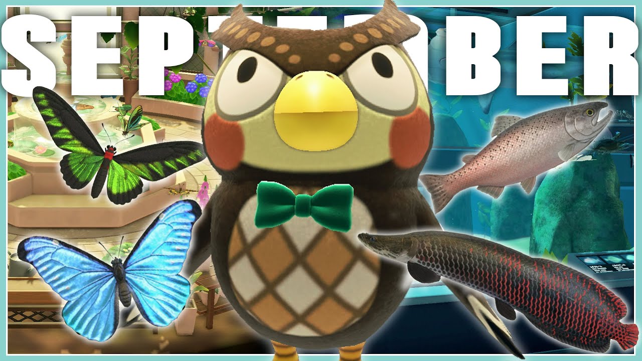 Руководство по рыбам и насекомым в сентябре | Animal Crossing New Horizons