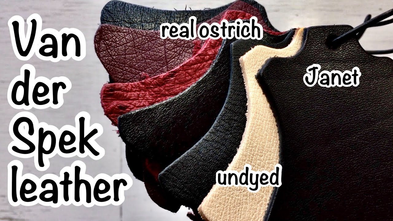 Van Der Spek (VDS) leather samples