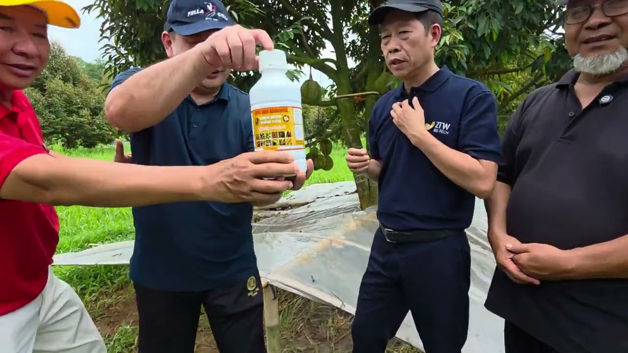 PEMUPUKAN POHON DURIAN MENURUT PROFESOR AGRICULTURE DARI CHINA