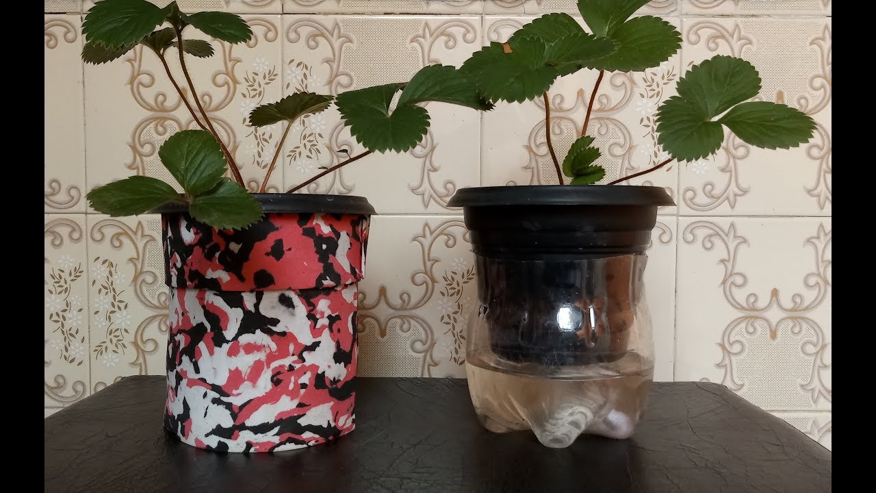 COMO FAZER VASO AUTOIRRIGÁVEL. SIMPLES E BARATO!