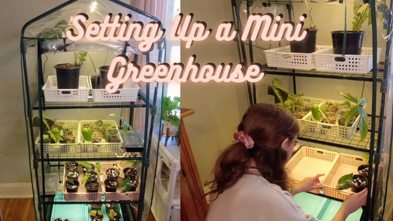 Mini Indoor Greenhouse for Houseplant Propagation | Grow Tent Setup