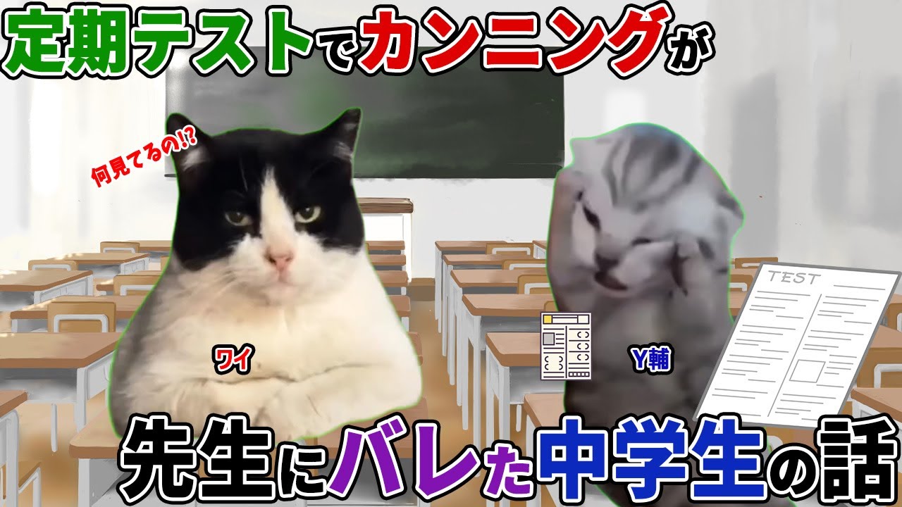 【ほぼ実話】定期テストでカンニングがバレた中学生の話【猫ミーム】【猫マニ】