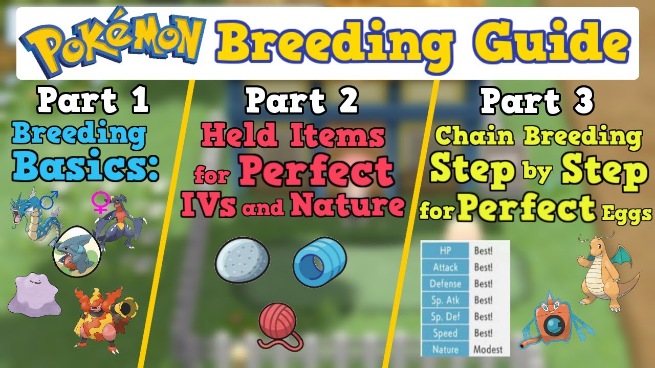 How to Breed PERFECT IV Pokemon as FAST as Possible | Pokemon BDSP Sword Shield