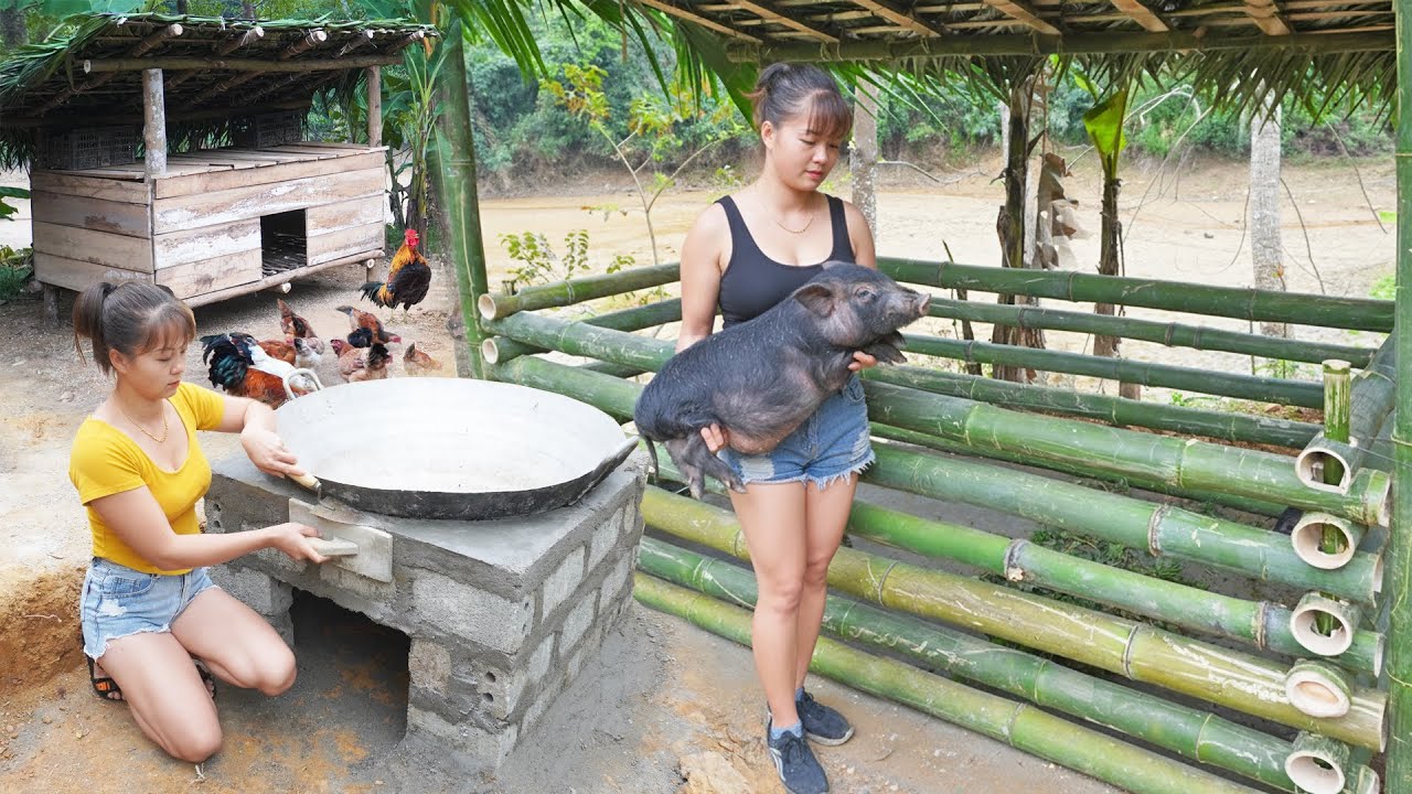 CEO Girl Left the City for the Forest -- Building A Pig Barn with Bamboo To Raise Pig, Build Stove