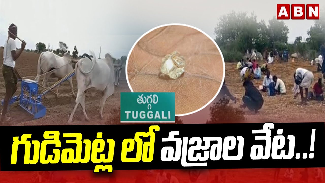 గుడిమెట్ల లో వజ్రాల వేట..! | Diamond hunting in Gudimetla | NTR District | ABN Telugu