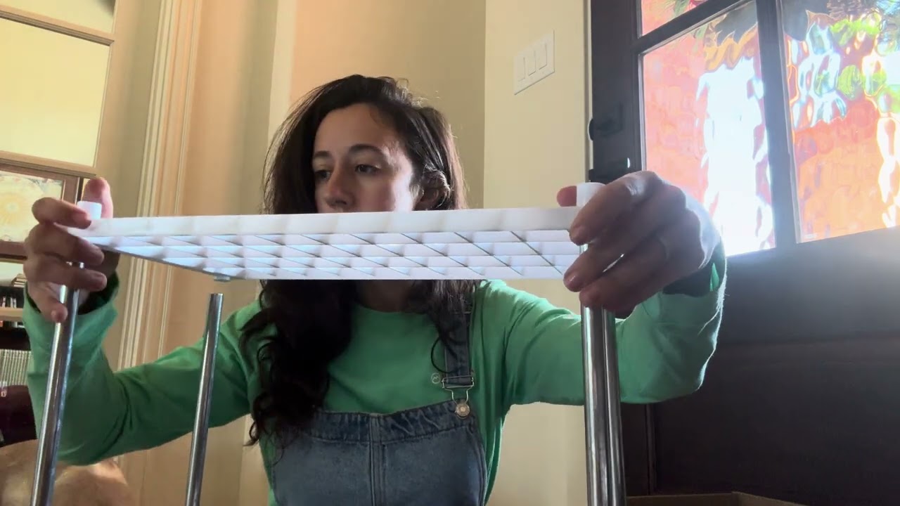 Growing Green: 4-Layer Sprouting Tray with Shelf for Healthy Microgreens and Wheatgrass Seeds