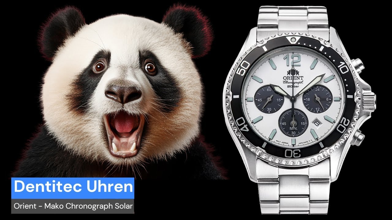 ORIENT - Mako - Chronograph - ein PANDA? Diver / Taucheruhr