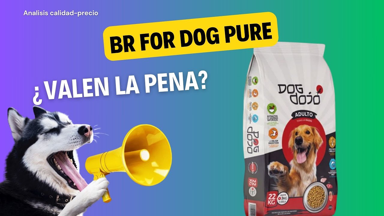 Análisis de alimento para perro: DOG DOJO